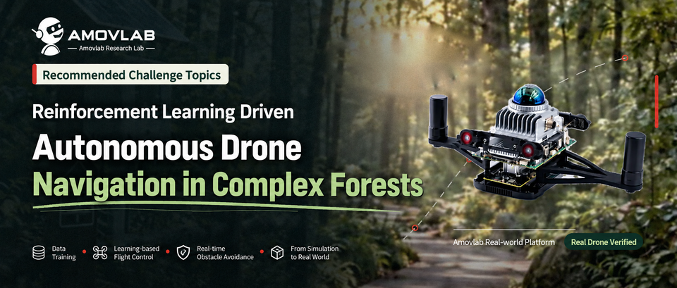 Reinforcement Learning-Driven Autonomous Exploration: Drone Flight Through Complex Forests
