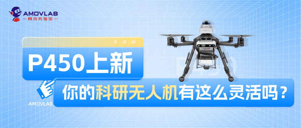 Is Your Research UAV as Flexible as the P450?